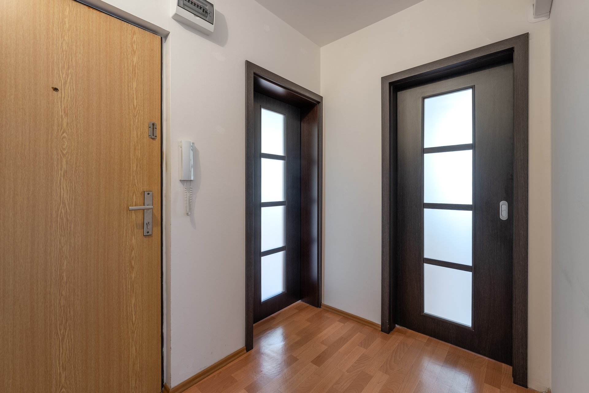 Předsíň – Vyškov – Předměstí – prodej bytu