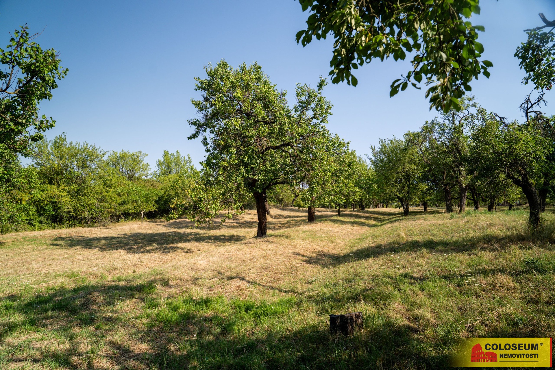 Pohled zespodu - Židlochovice - prodej pozemku