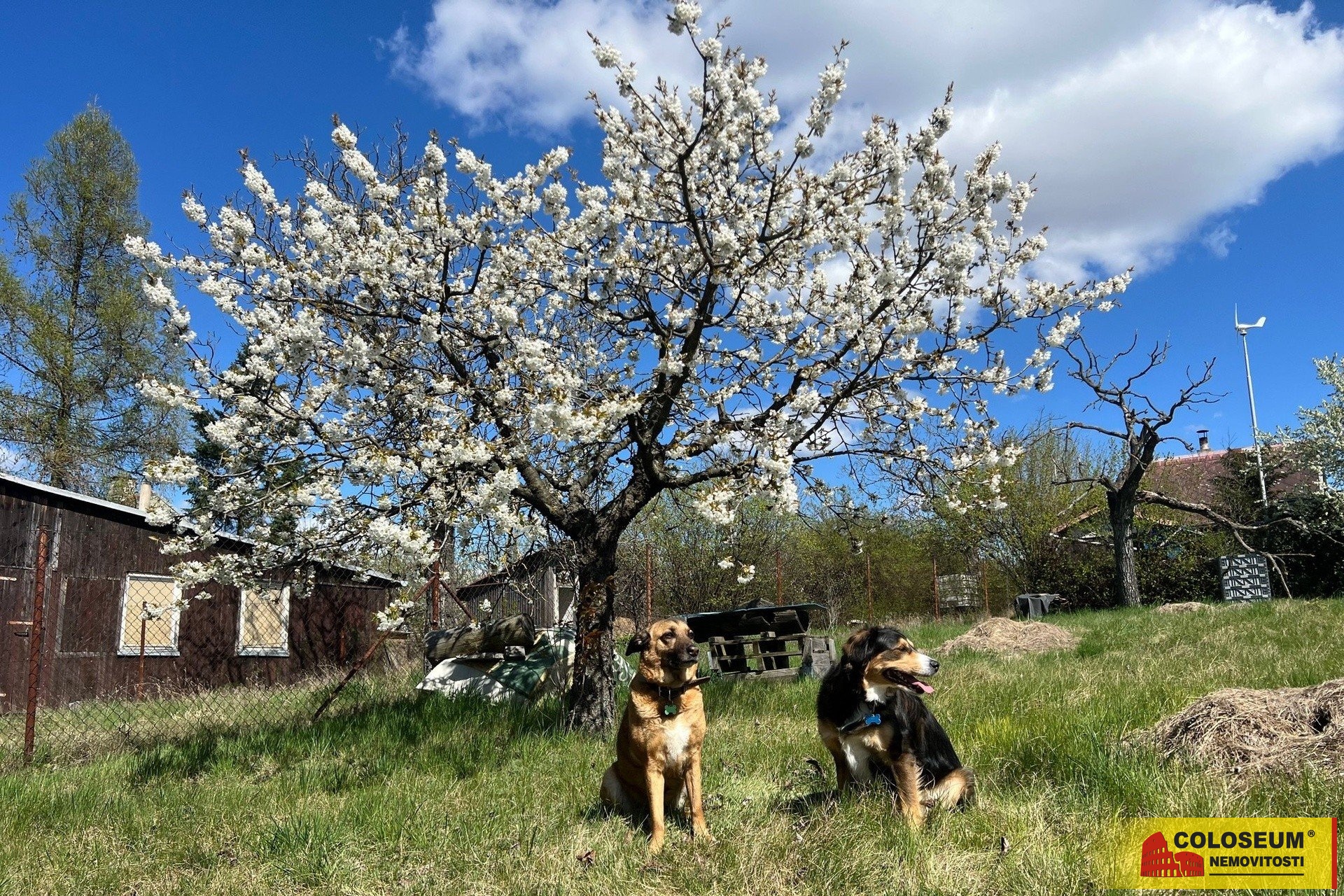 Na pozemku je i třešeň - Ostopovice - prodej chaty