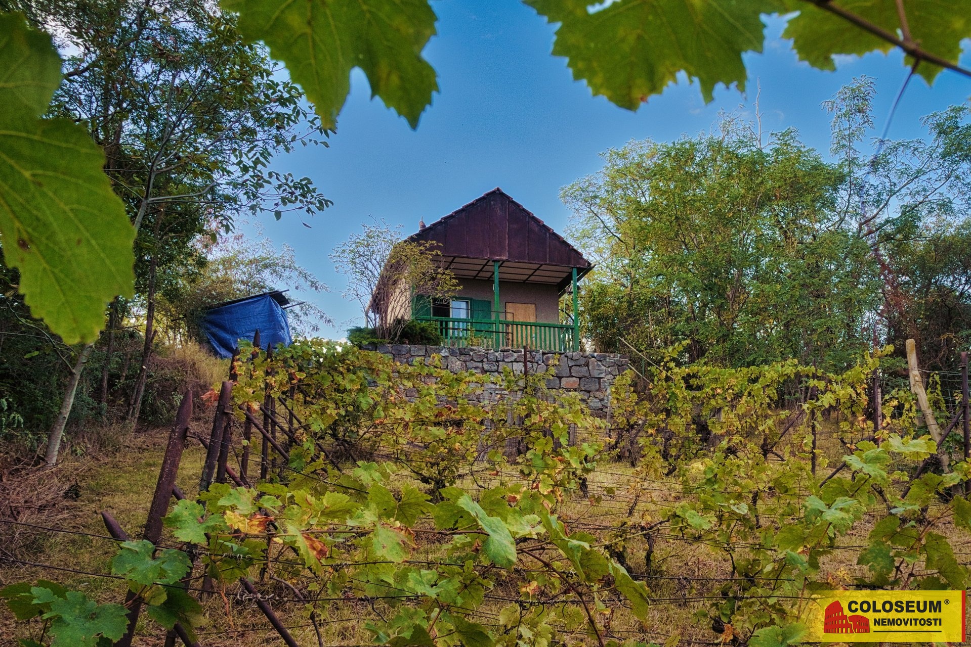 Pohled na pozemk s chatou - Sivice - prodej pozemku