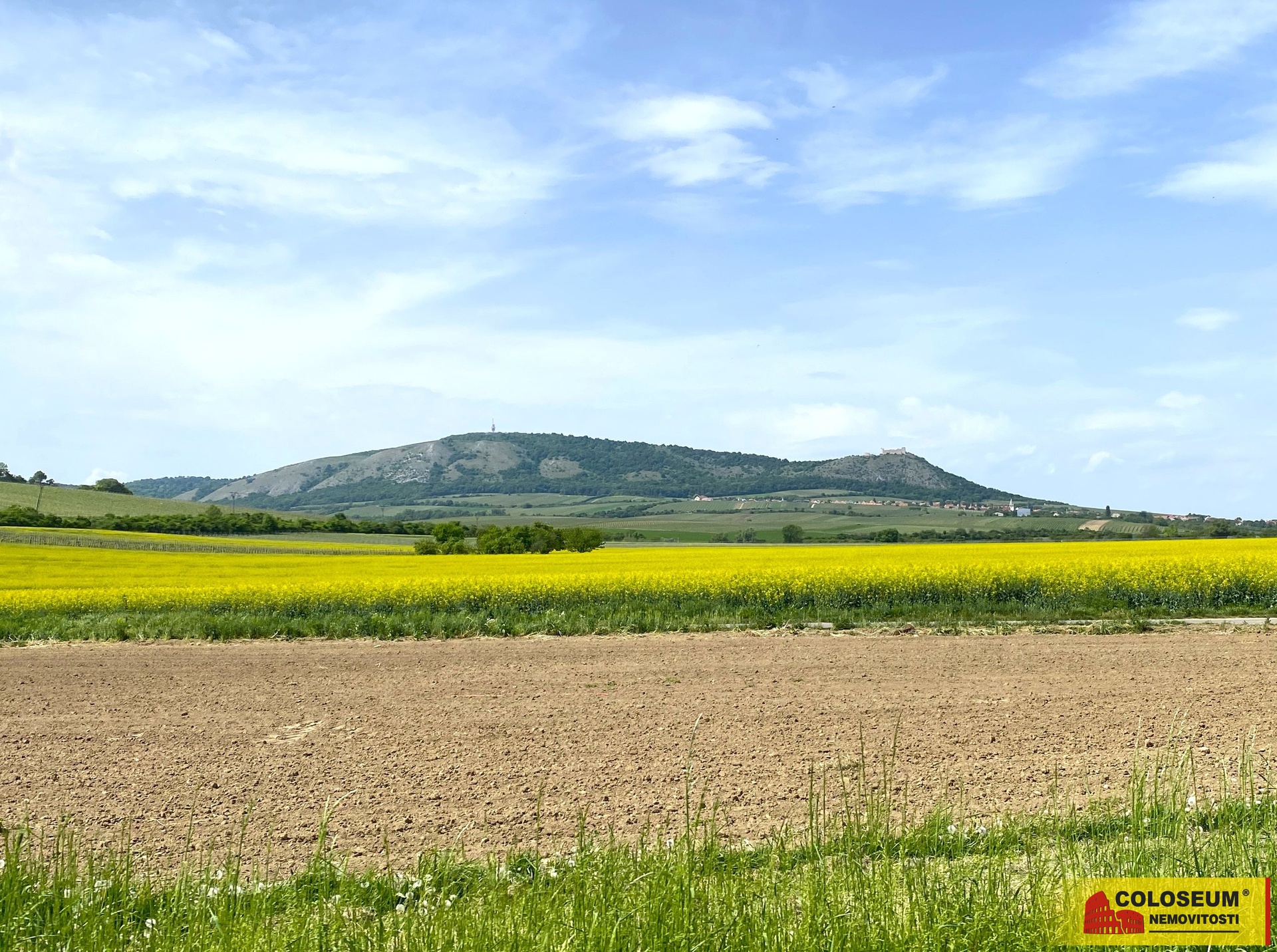 Pohled na pozemek z cesty - Pavlov - prodej pozemk