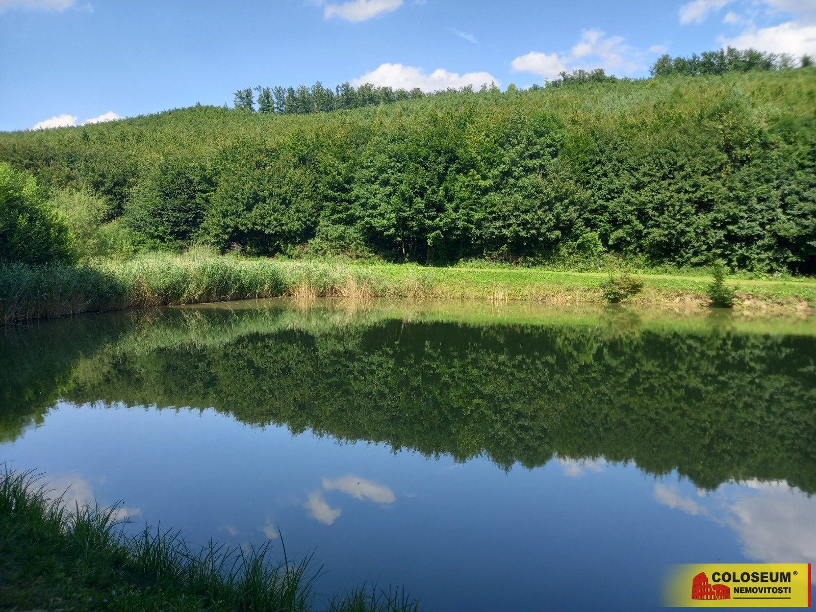 Okolí pozemku - Lovčice - prodej pozemku