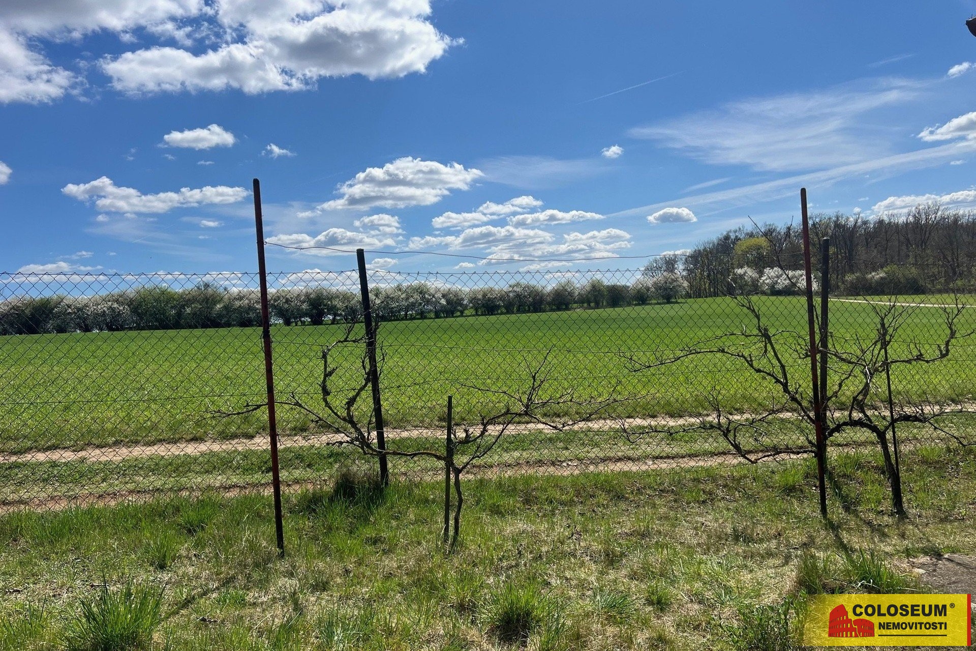 Pozemek s výhledem na lesy - Ostopovice - prodej c
