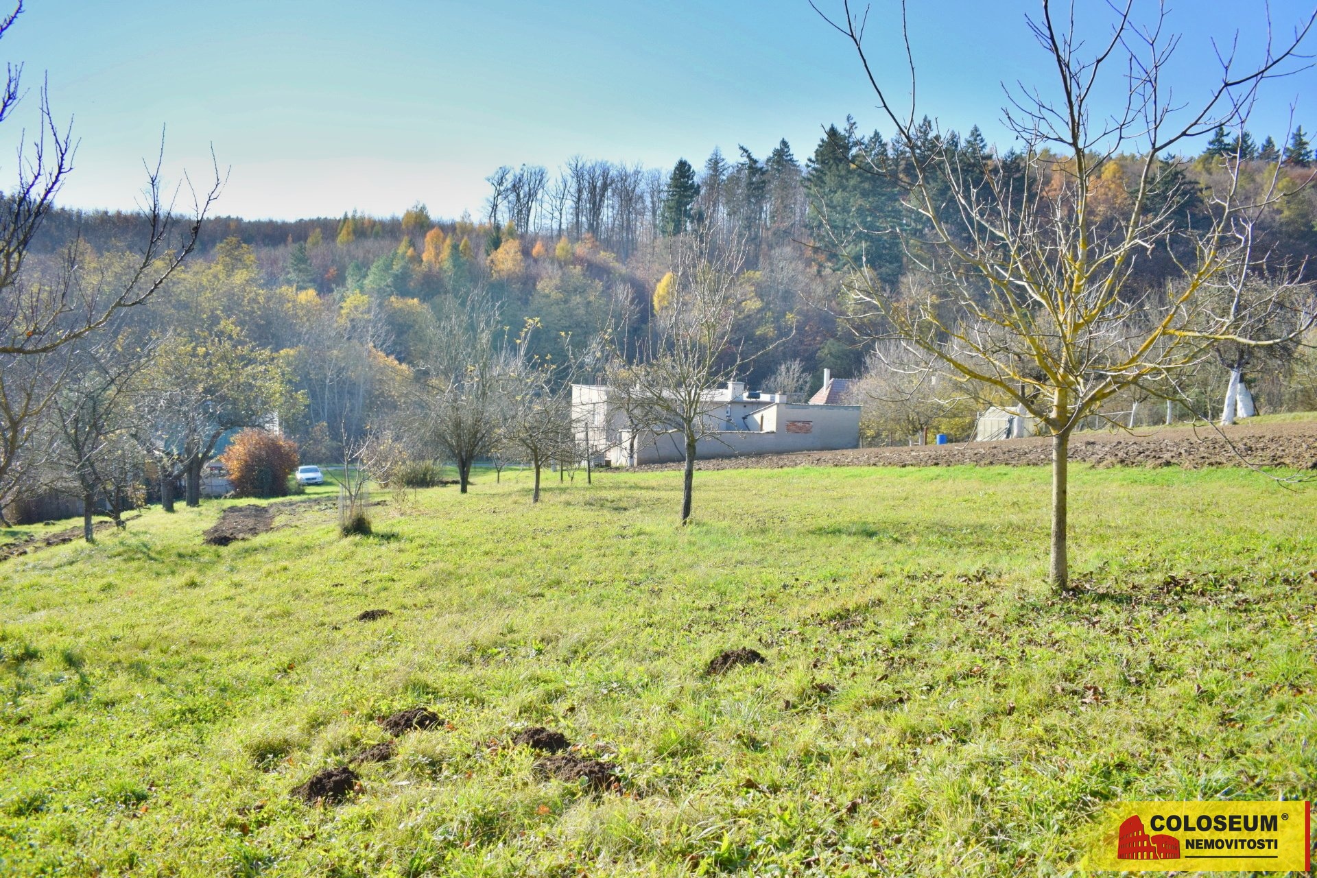Pohled na pozemek - Lovčice - prodej pozemku