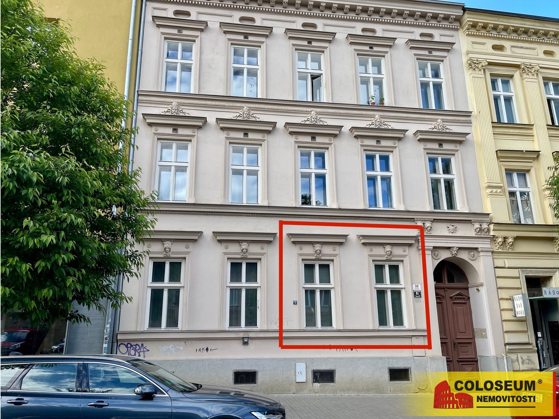 Detail oken komerčního prostoru - Brno - Veveří - pronájem komerce