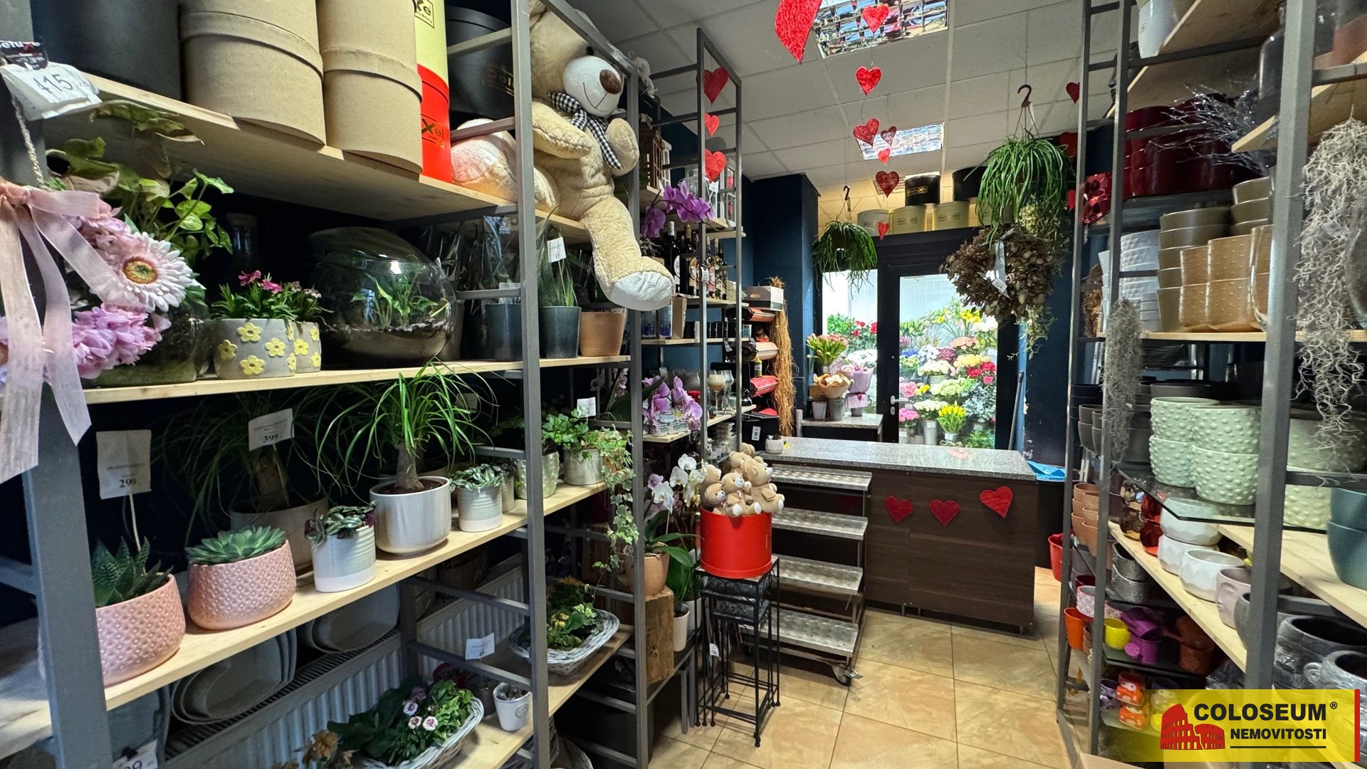 interiér - Brno - pronájem komerce