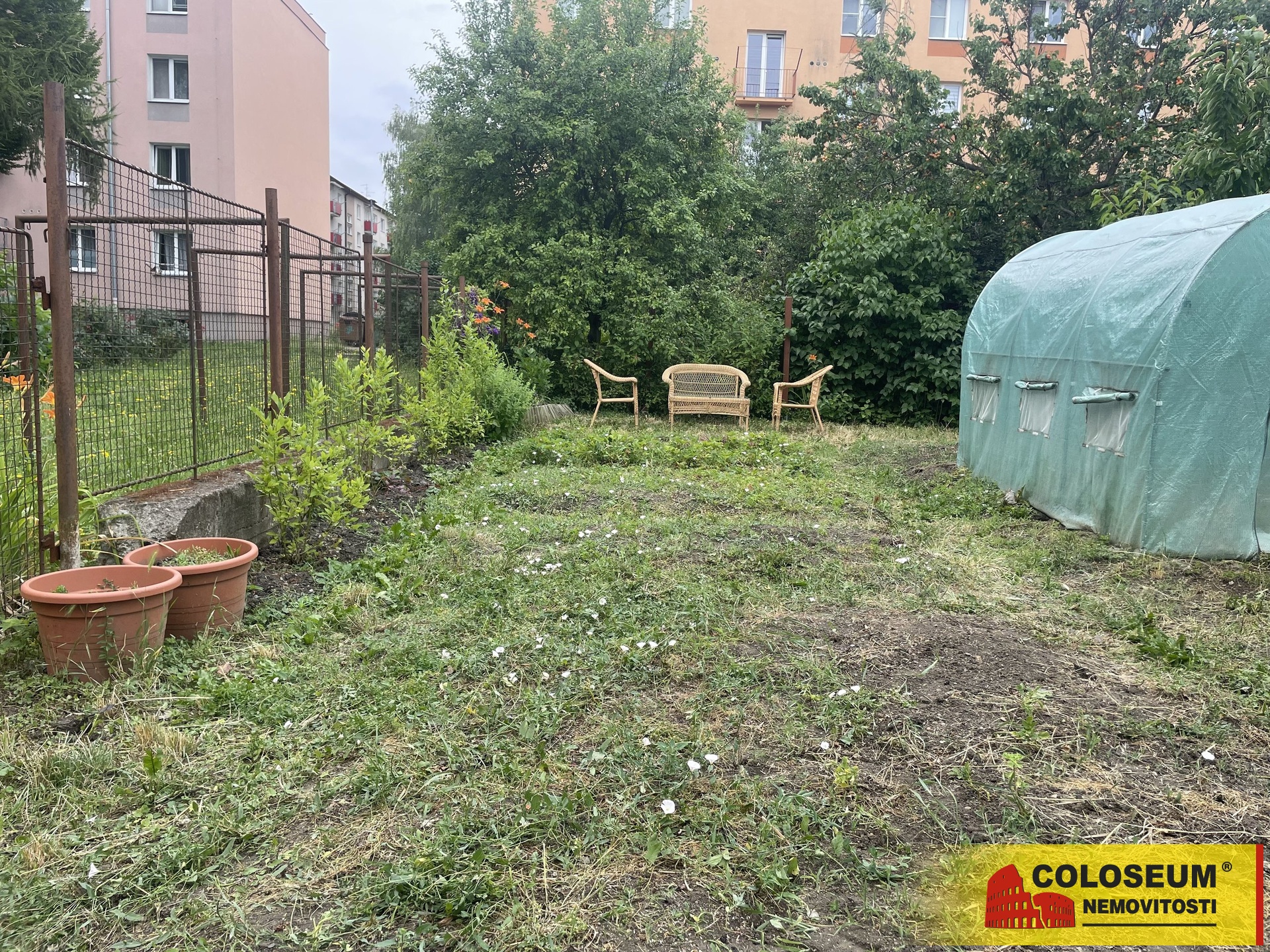 Pohled na zahradu a skleník - Olomouc - prodej pozemku