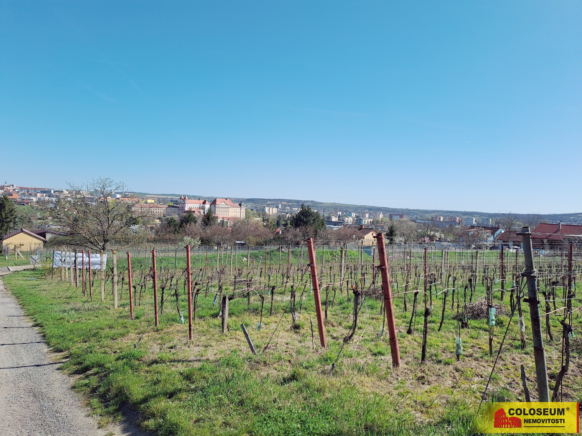 Celkový pohled - Sedlešovice - prodej pozemku