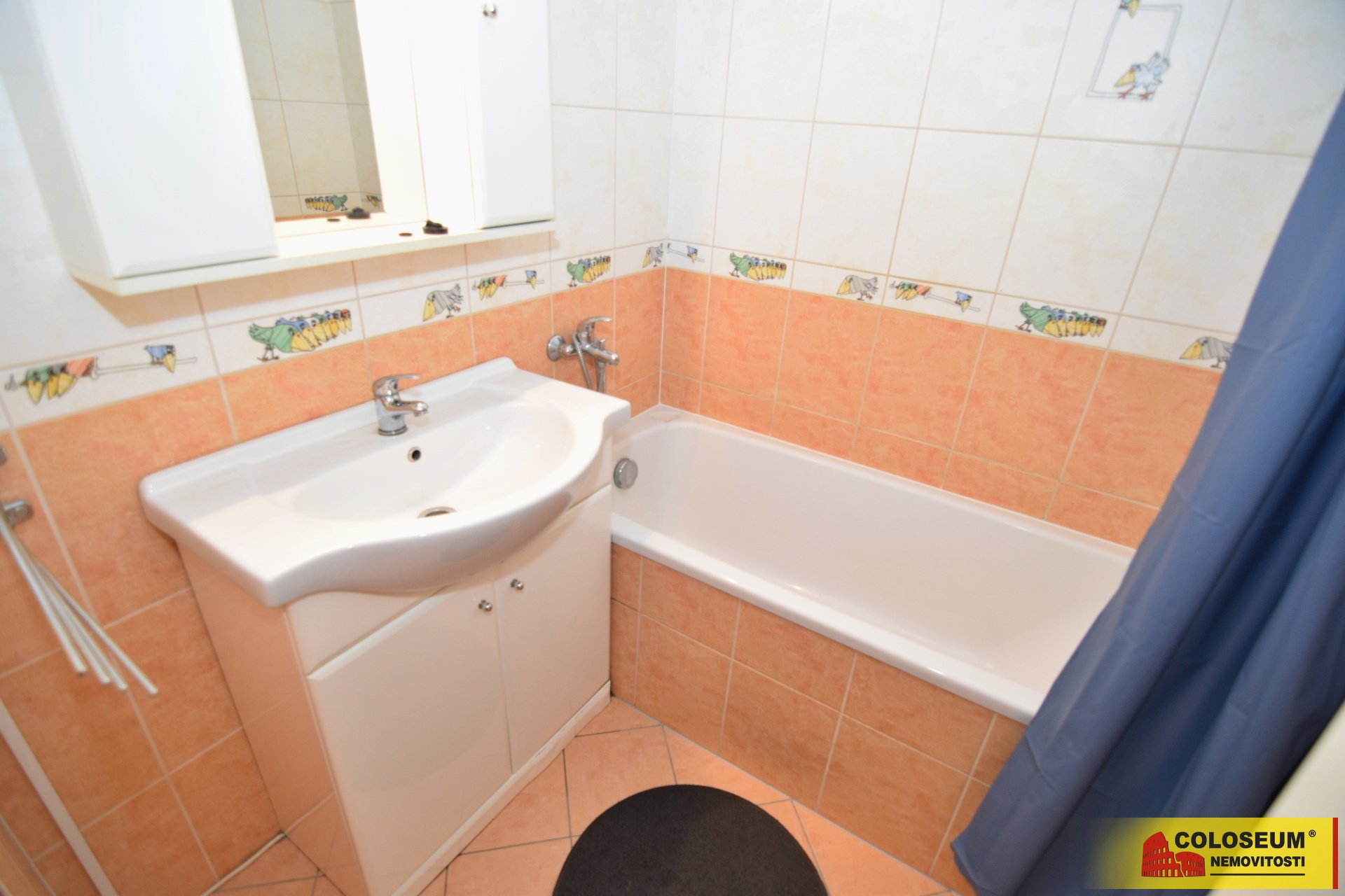 Koupelna - Starý Lískovec - pronájem bytu