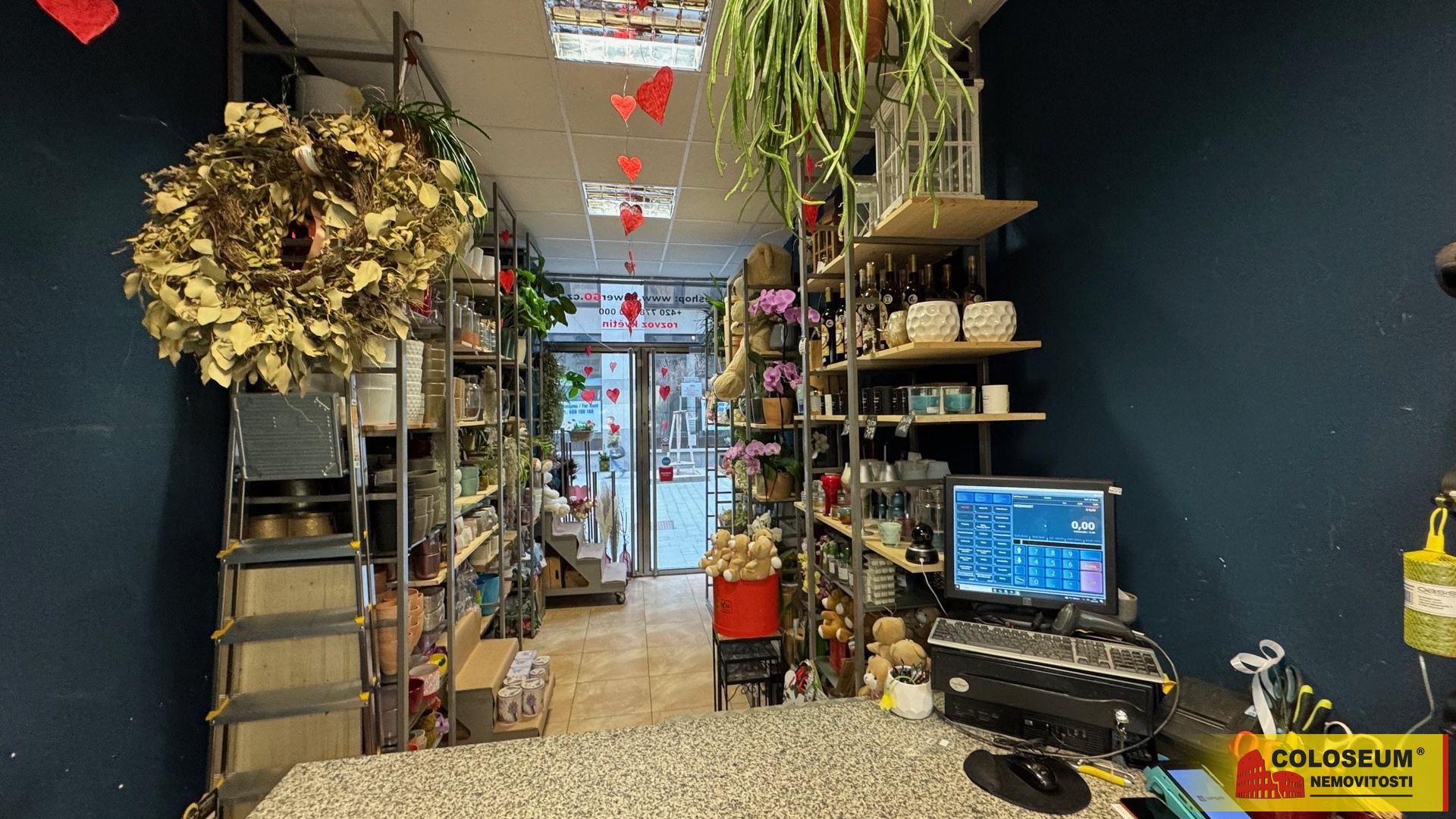 pohled z obchodu - Brno - pronájem komerce