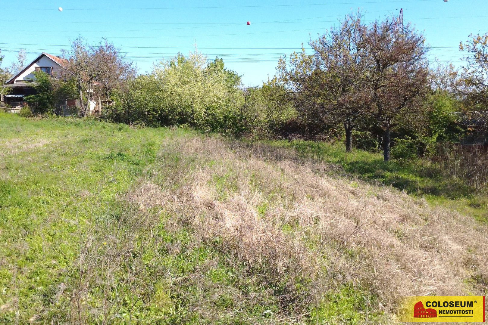 Zahrada – Brno - Modřice – prodej zahrady
