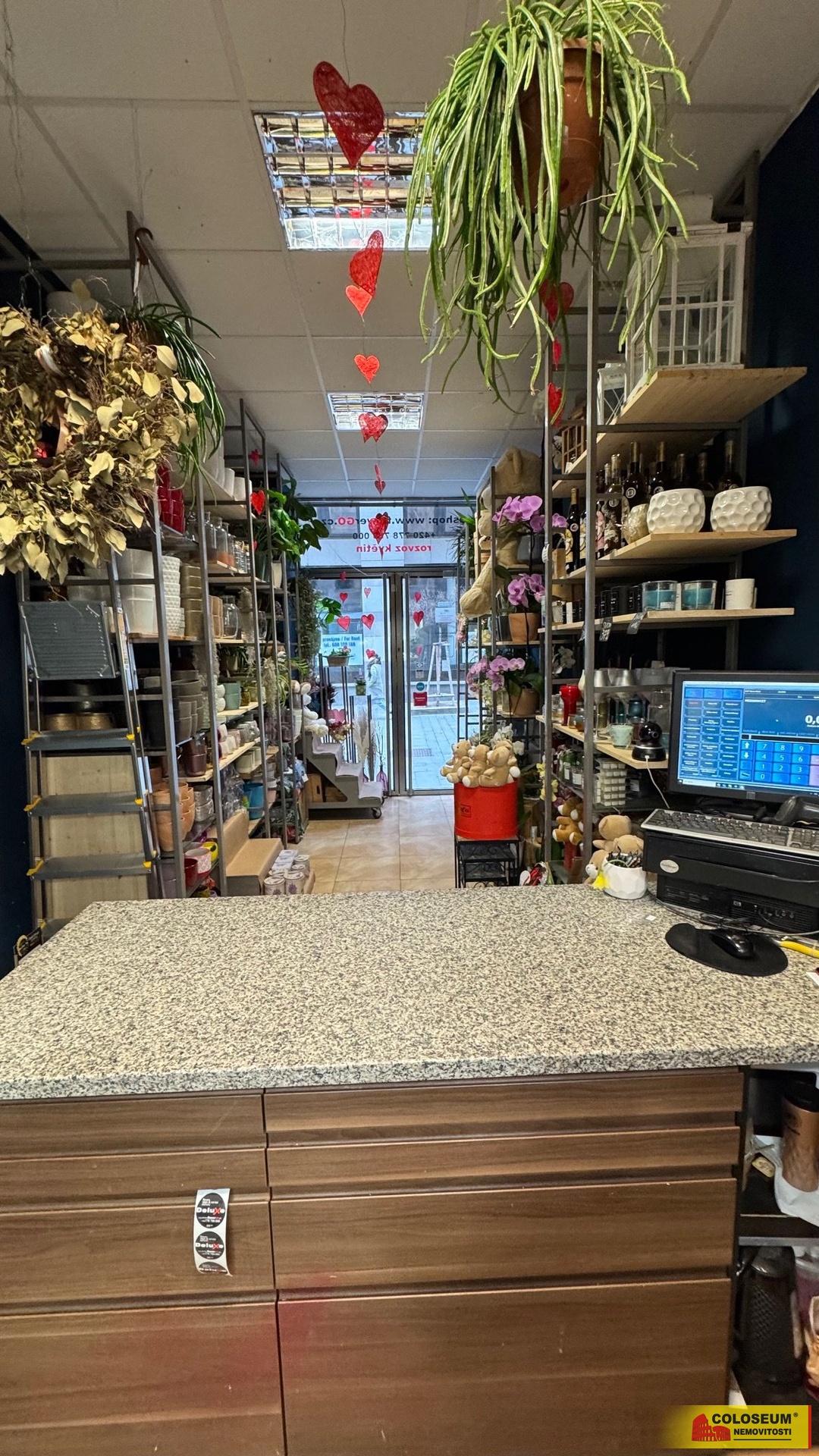 obchod - Brno - pronájem komerce