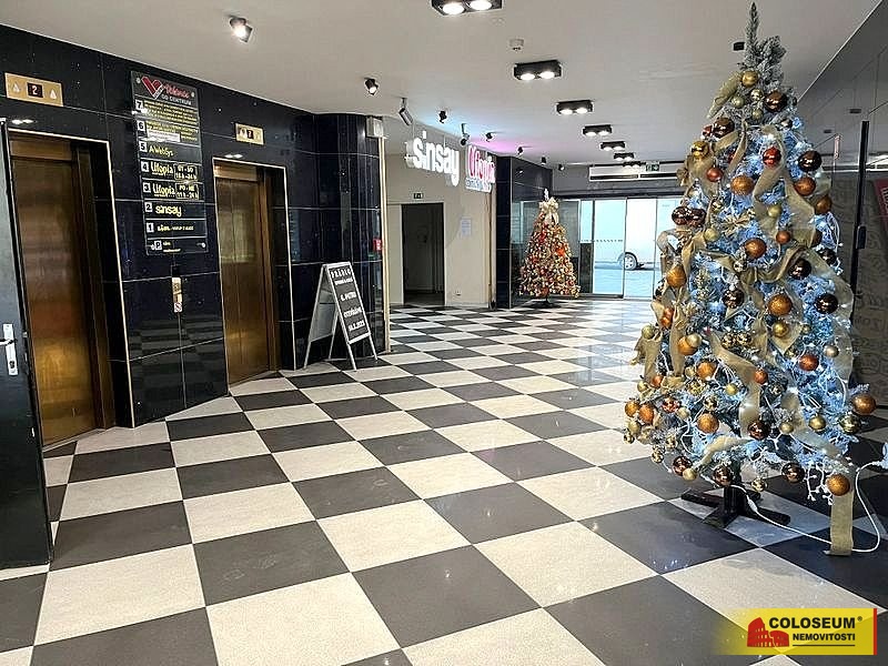 Vstup do budovy - Brno - město - pronájem komerčních prostor