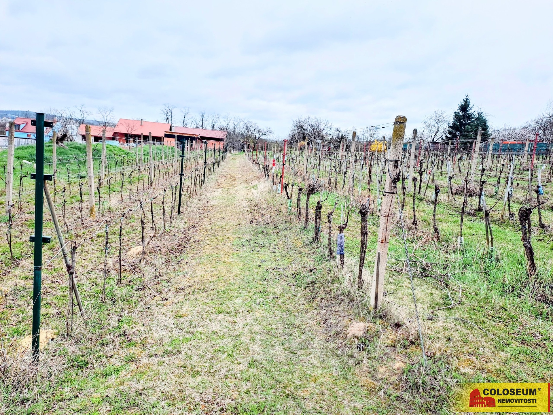 Celkový pohled - Sedlešovice - prodej pozemku