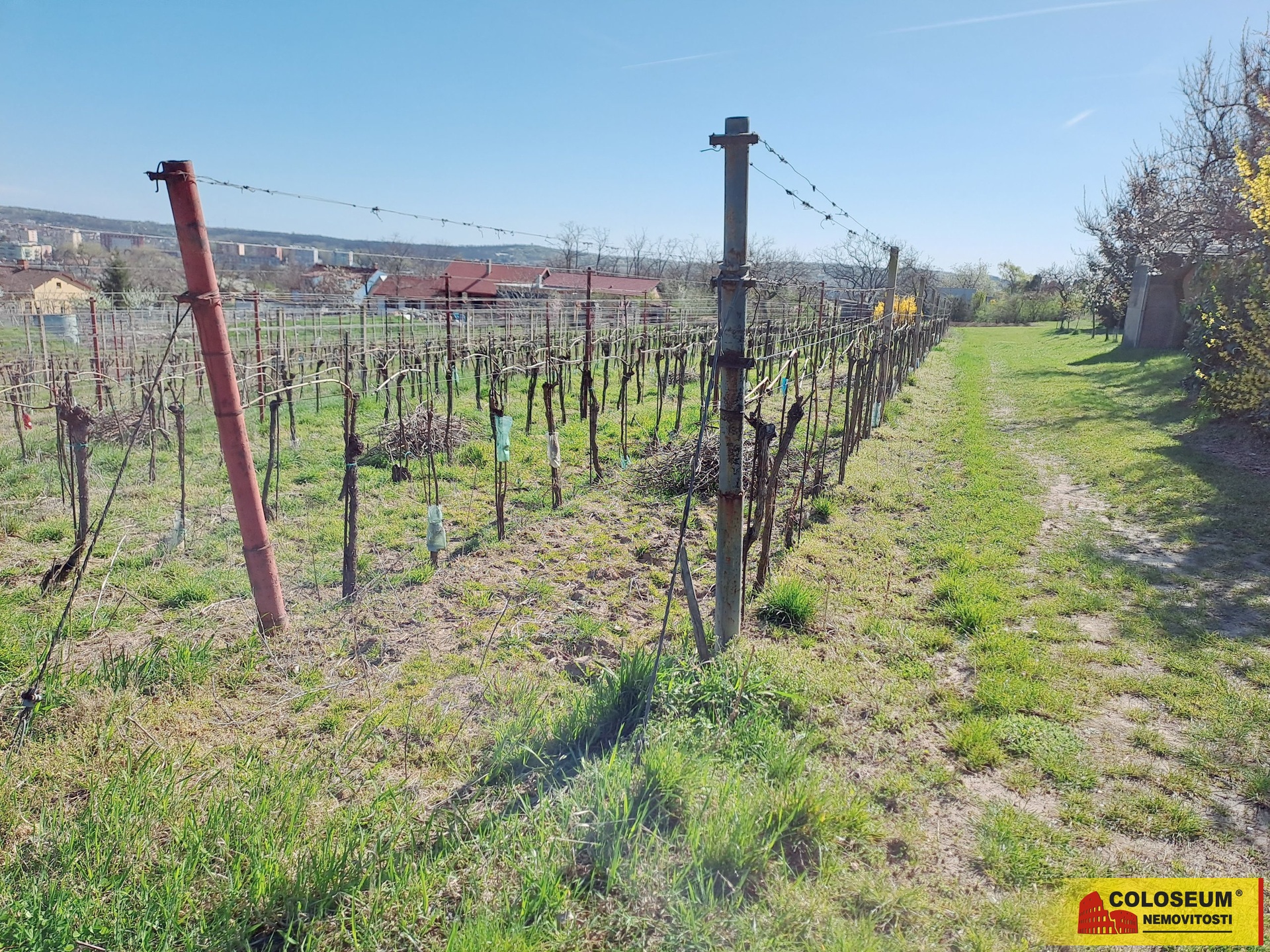 Celkový pohled - Sedlešovice - prodej pozemku