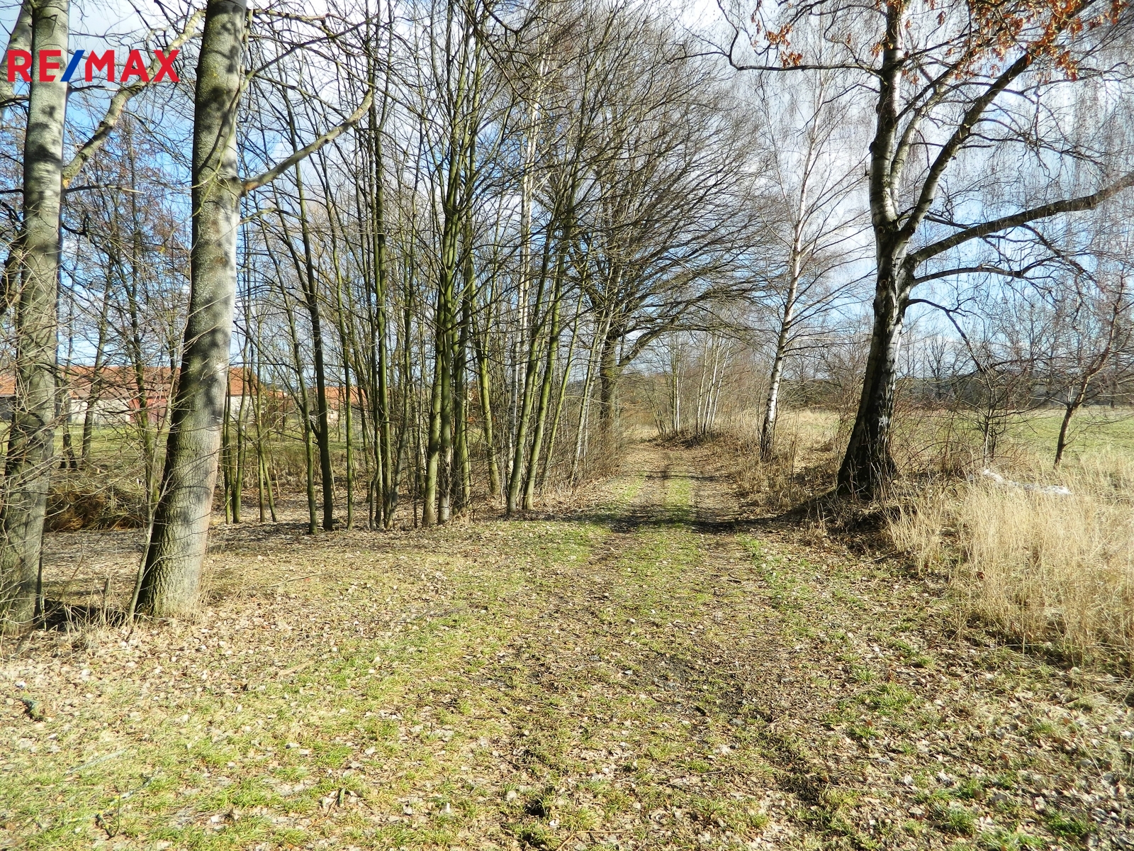 Příjezd k parcele.