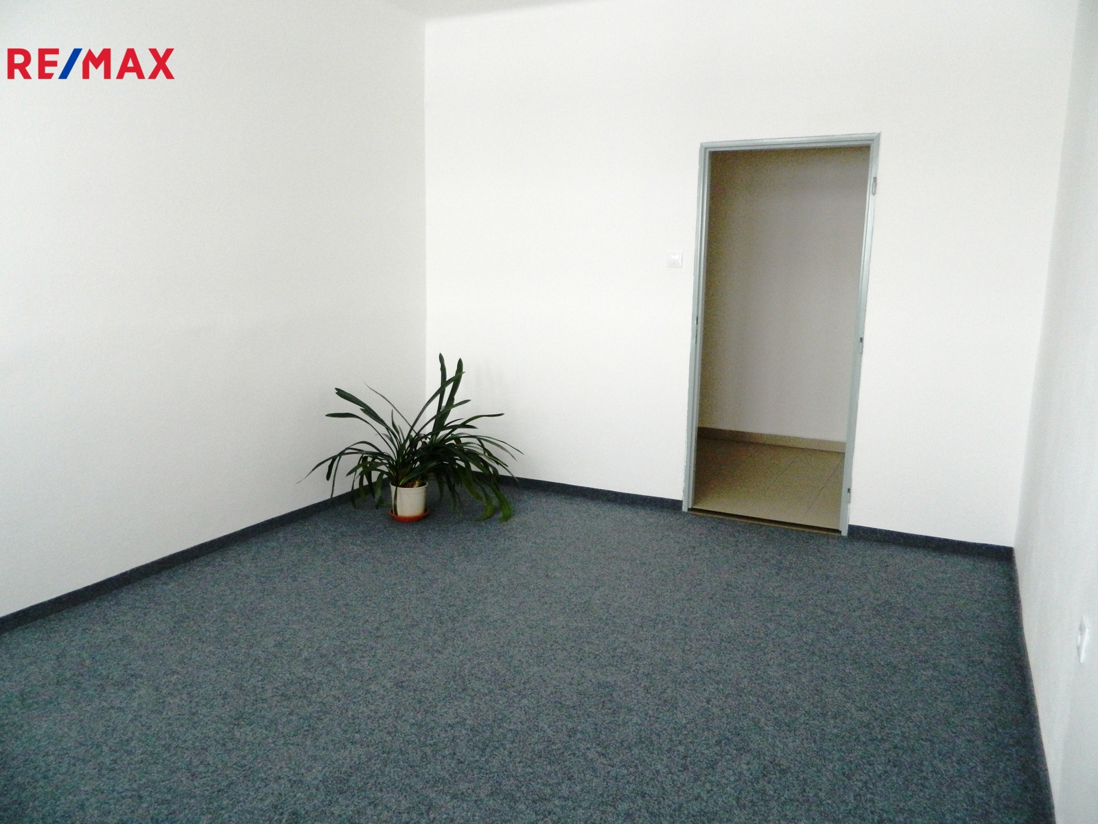 Kancelář má novou výmalbu i koberec.