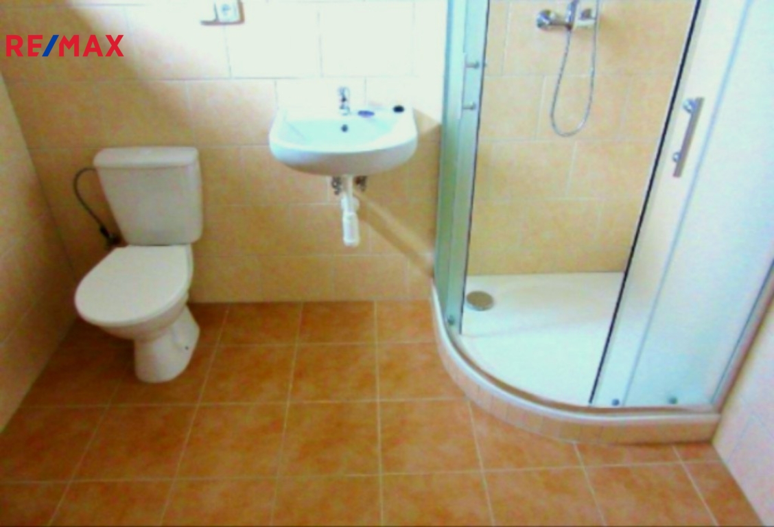 Koupelna se sprchovým koutem a wc.