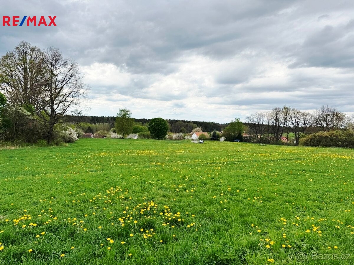 Pohled na pozemek v zeleni.