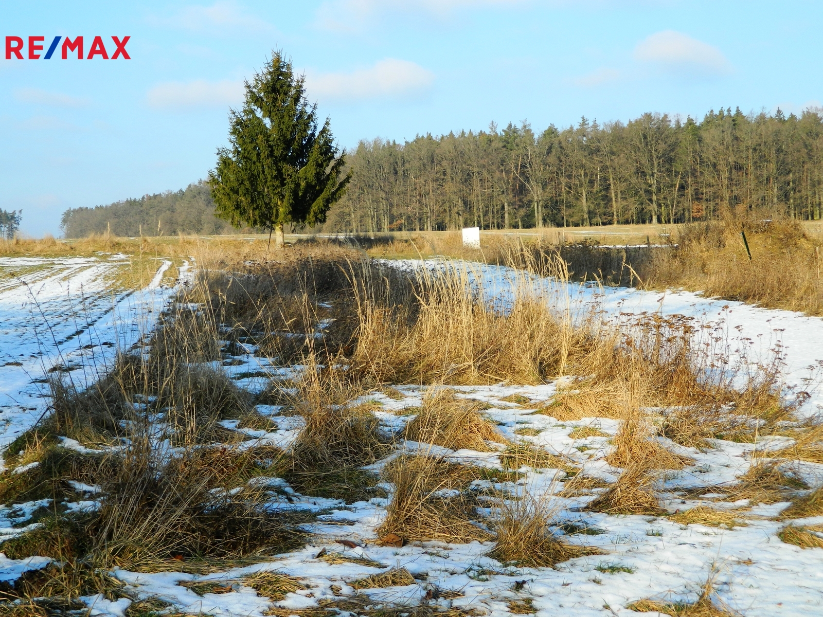 Okolí je krásné, nedaleko je les.