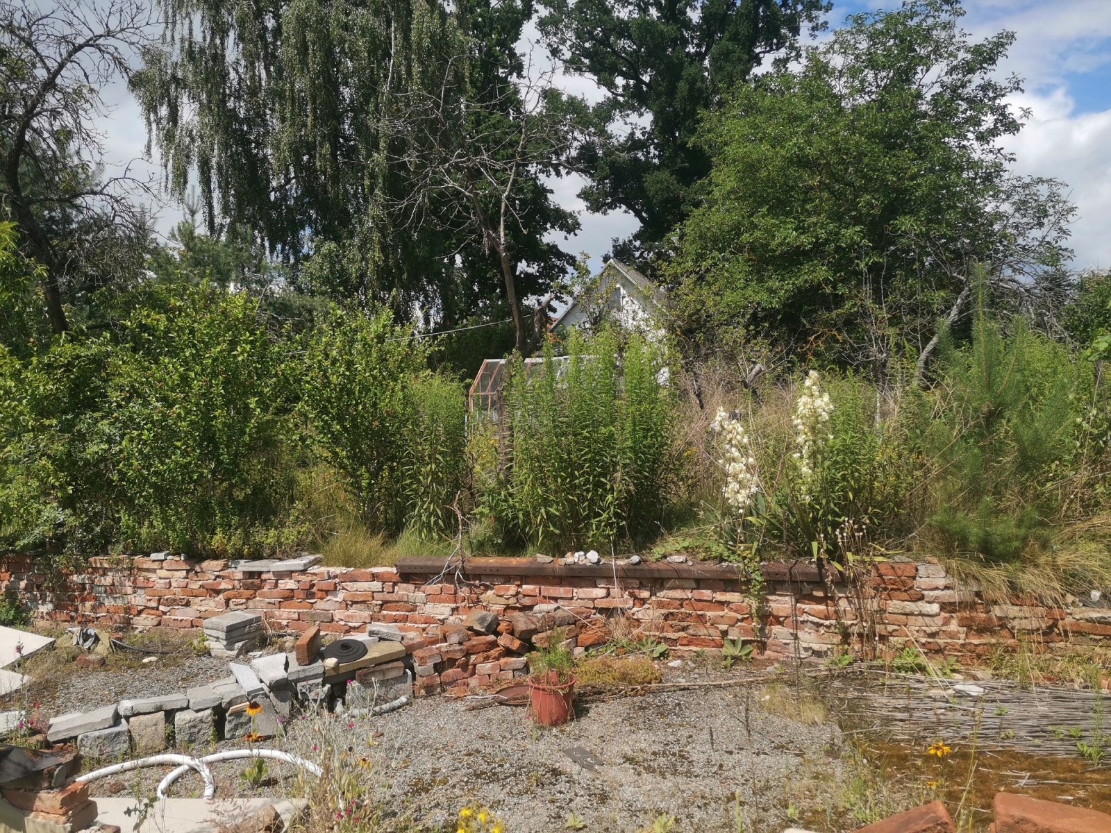 IMG_20250711_141430.JPG