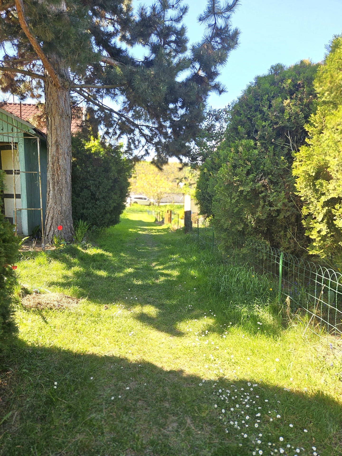 cesta