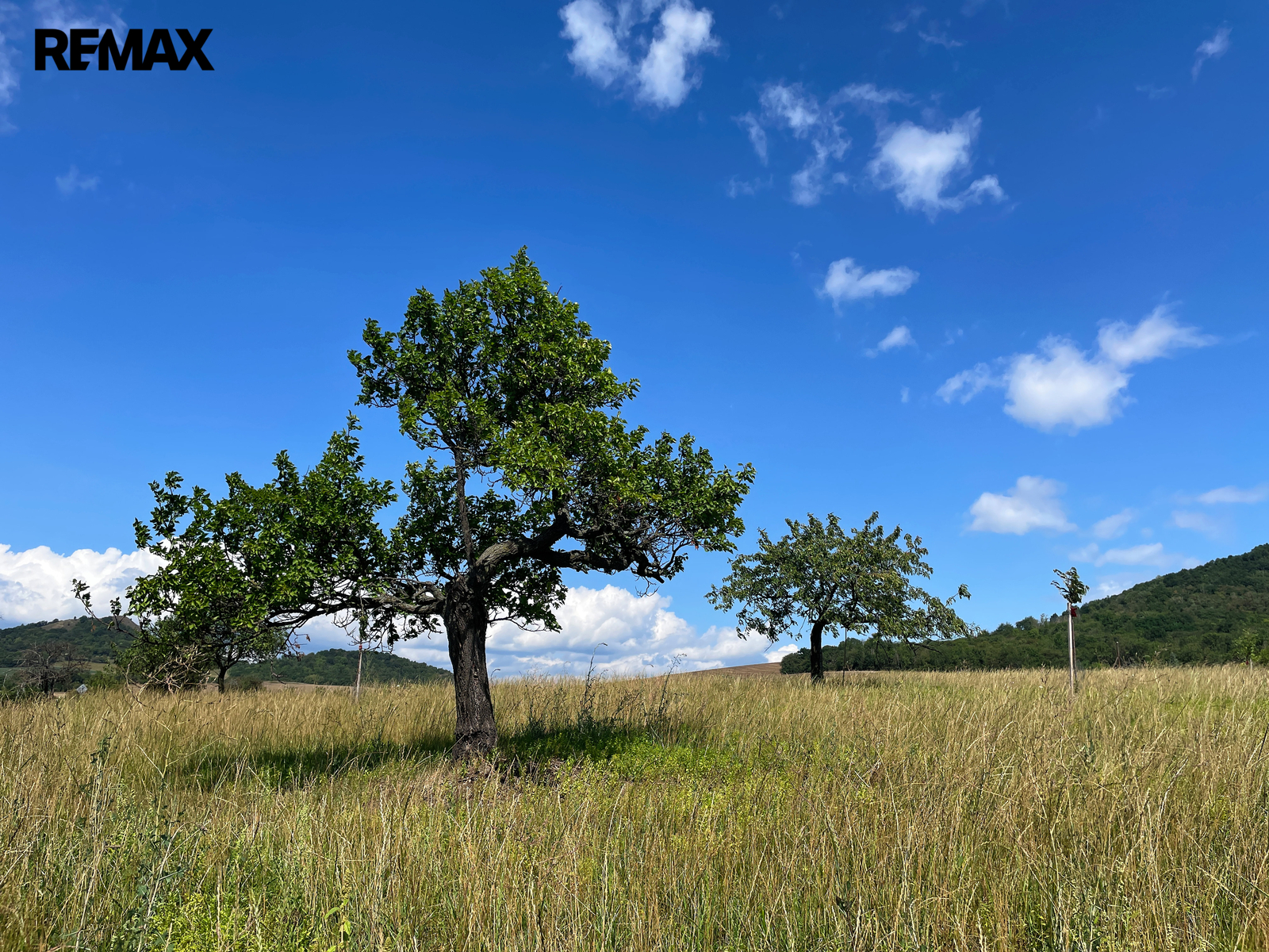 Podsedice_10 (Braňo Pažitka)