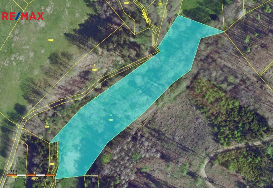 Velký pozemek s projektem na rybník