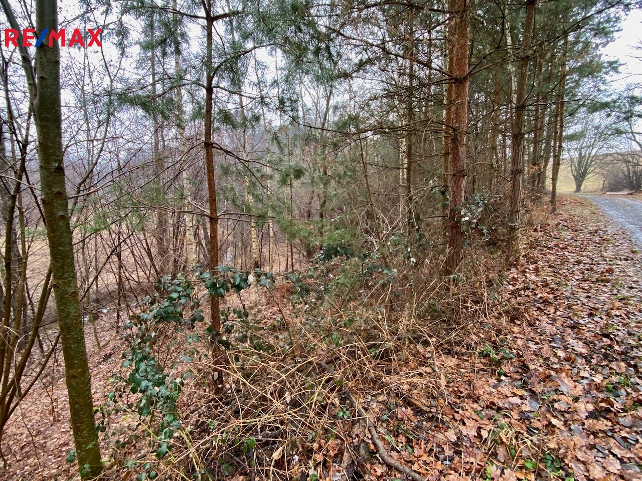 Velký pozemek s projektem na rybník