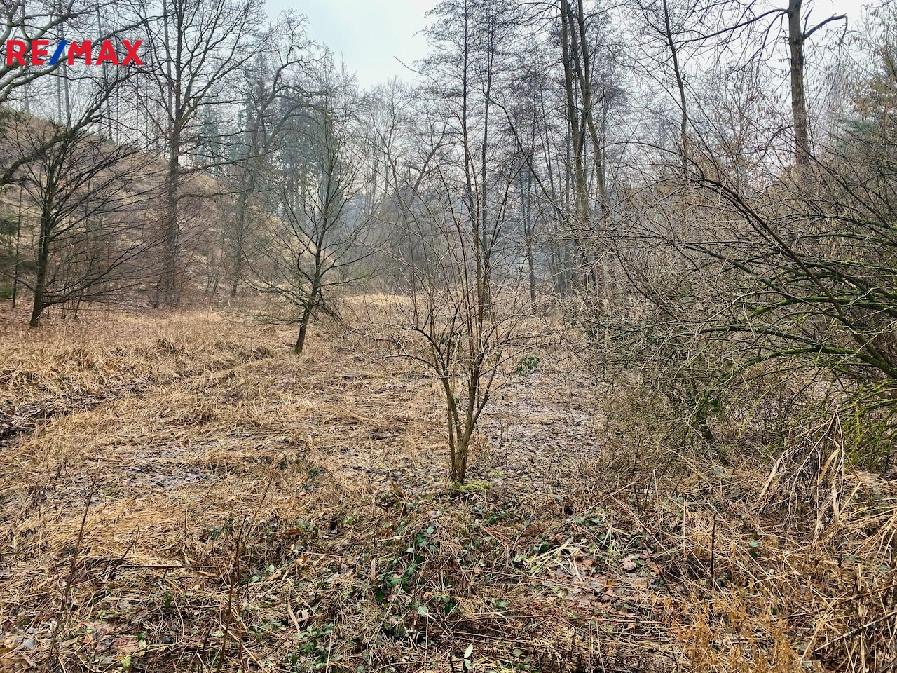 Velký pozemek s projektem na rybník