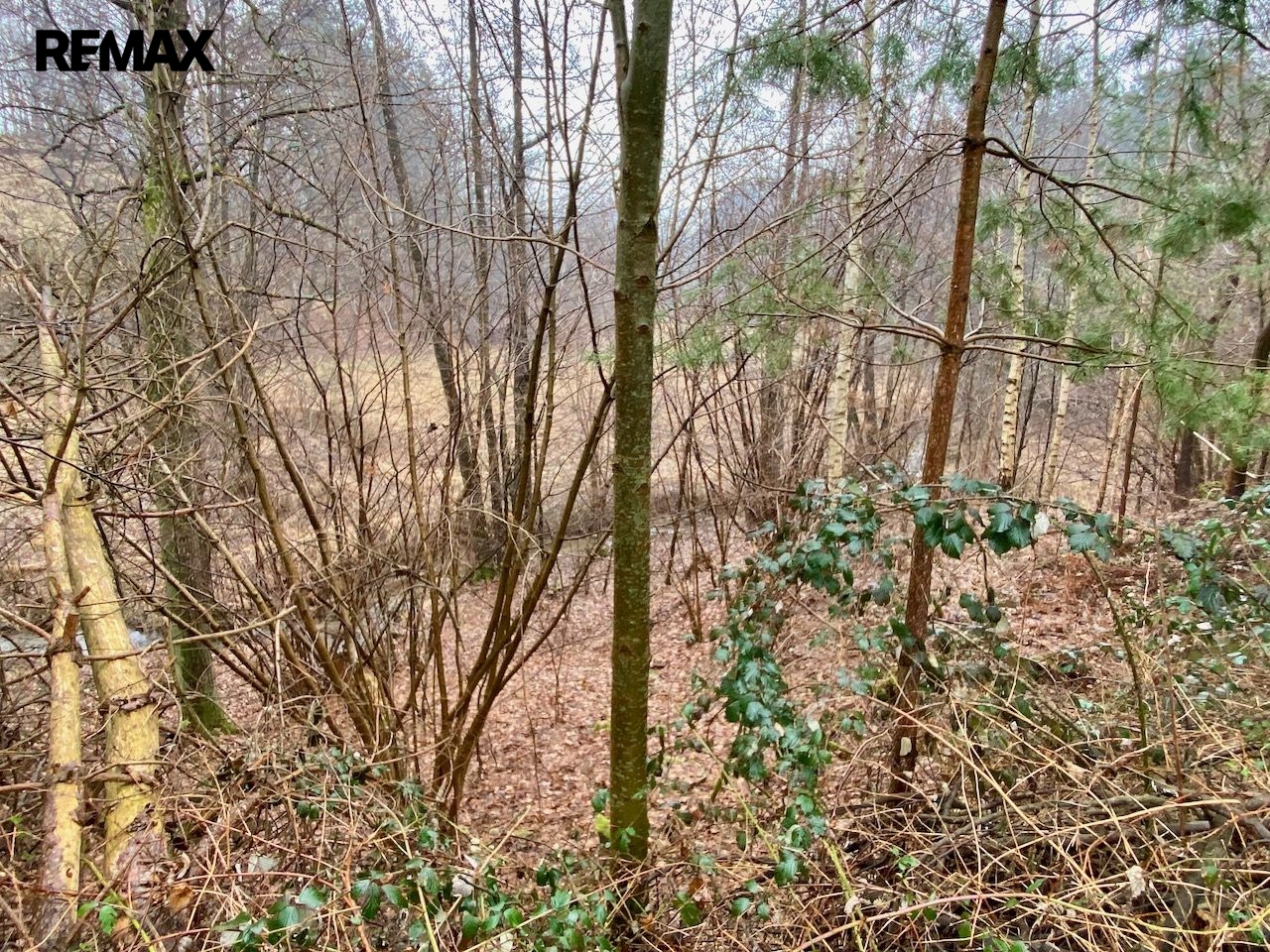 Velký pozemek s projektem na rybník