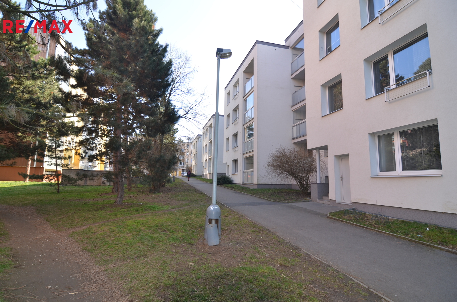 zeleň v okolí domu