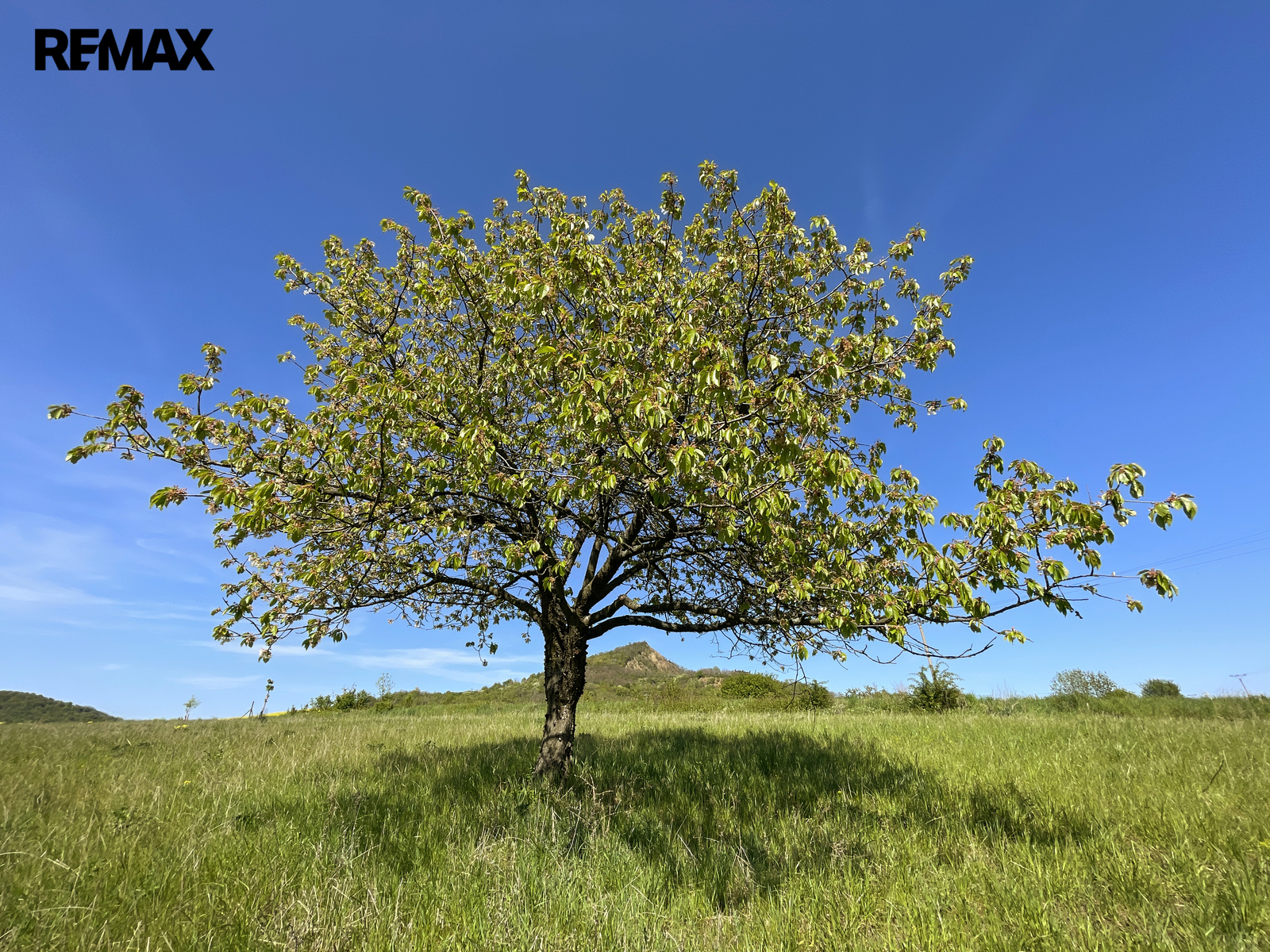 Podsedice_04 (Braňo Pažitka)