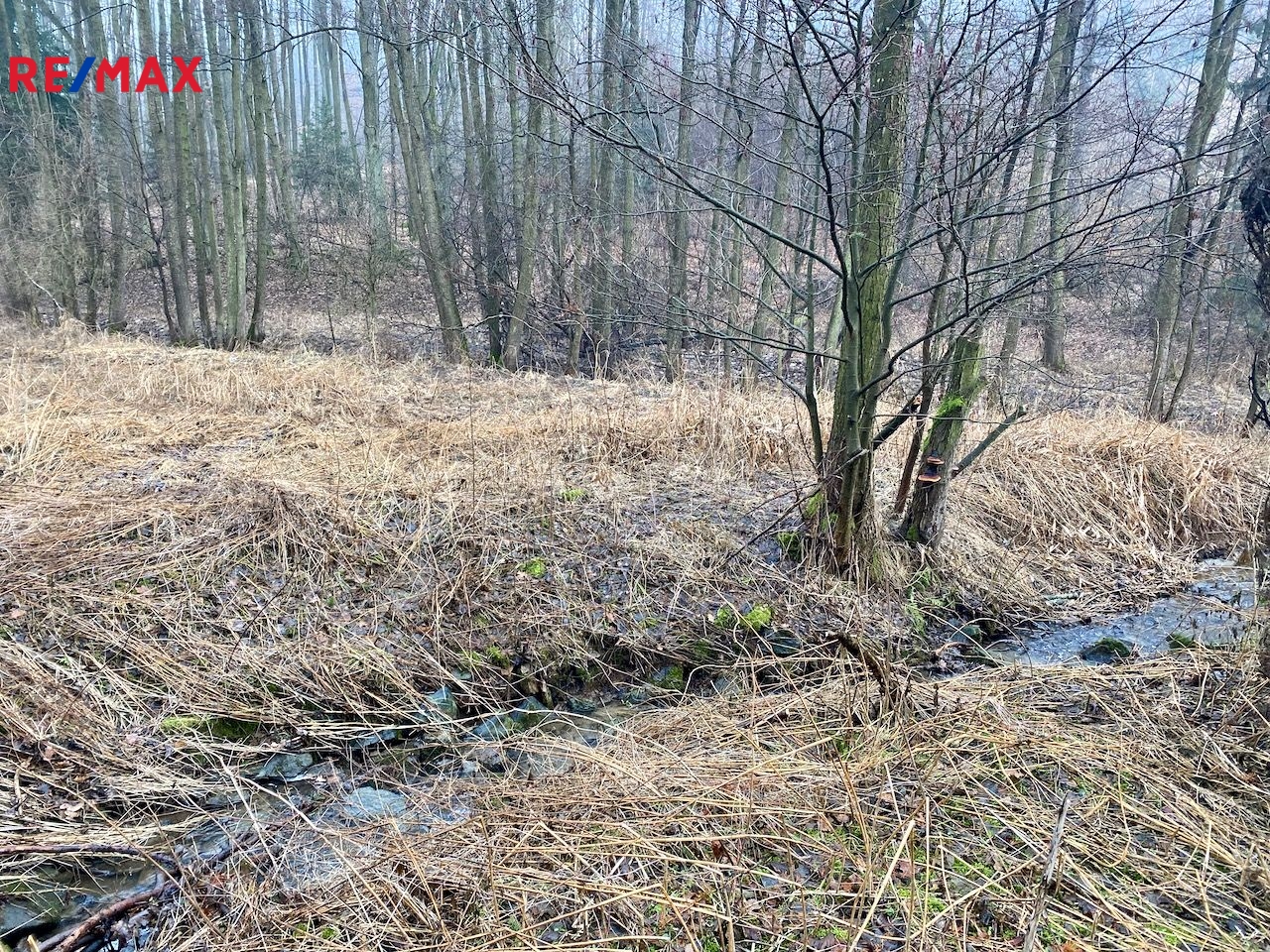 Velký pozemek s projektem na rybník