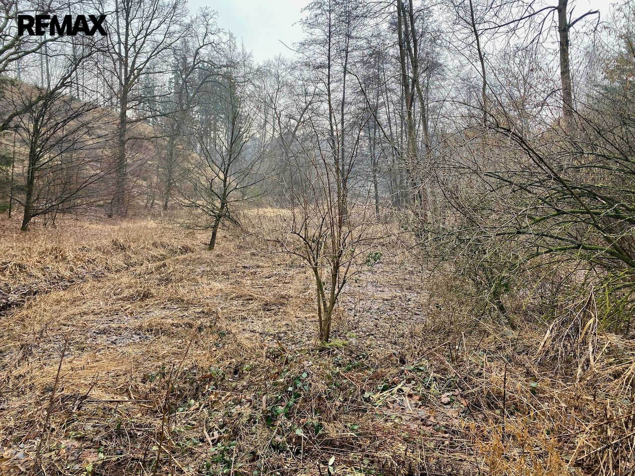 Velký pozemek s projektem na rybník