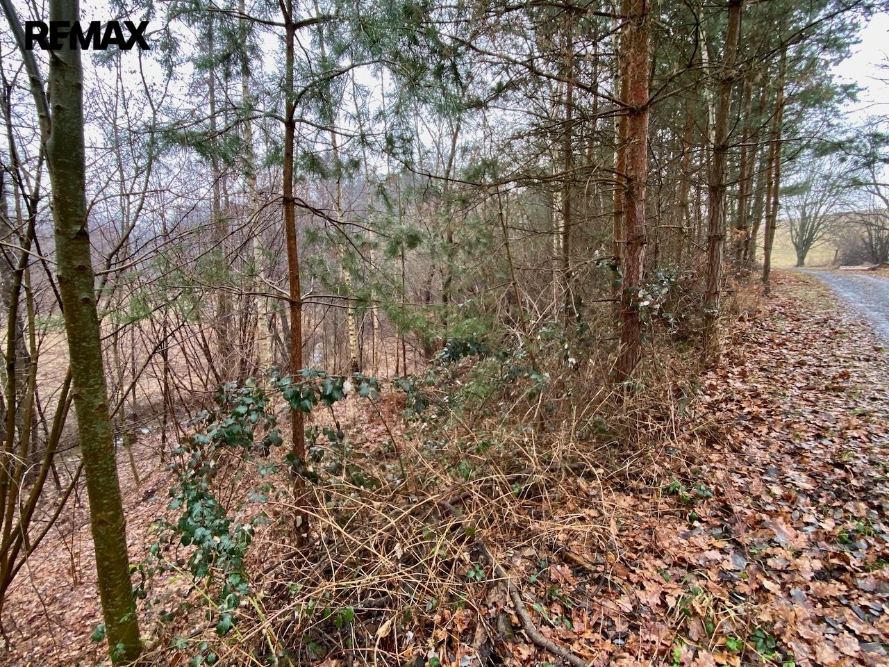 Velký pozemek s projektem na rybník