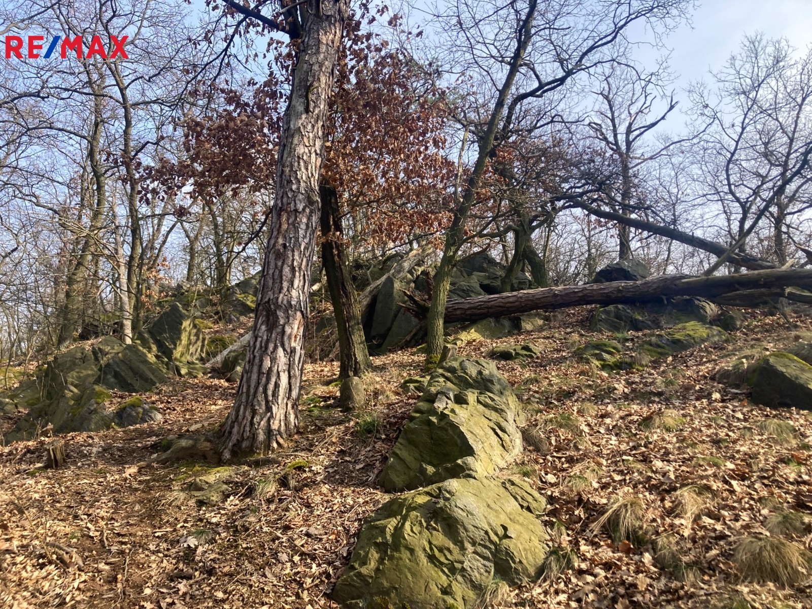 PP Číčovický Kamýk