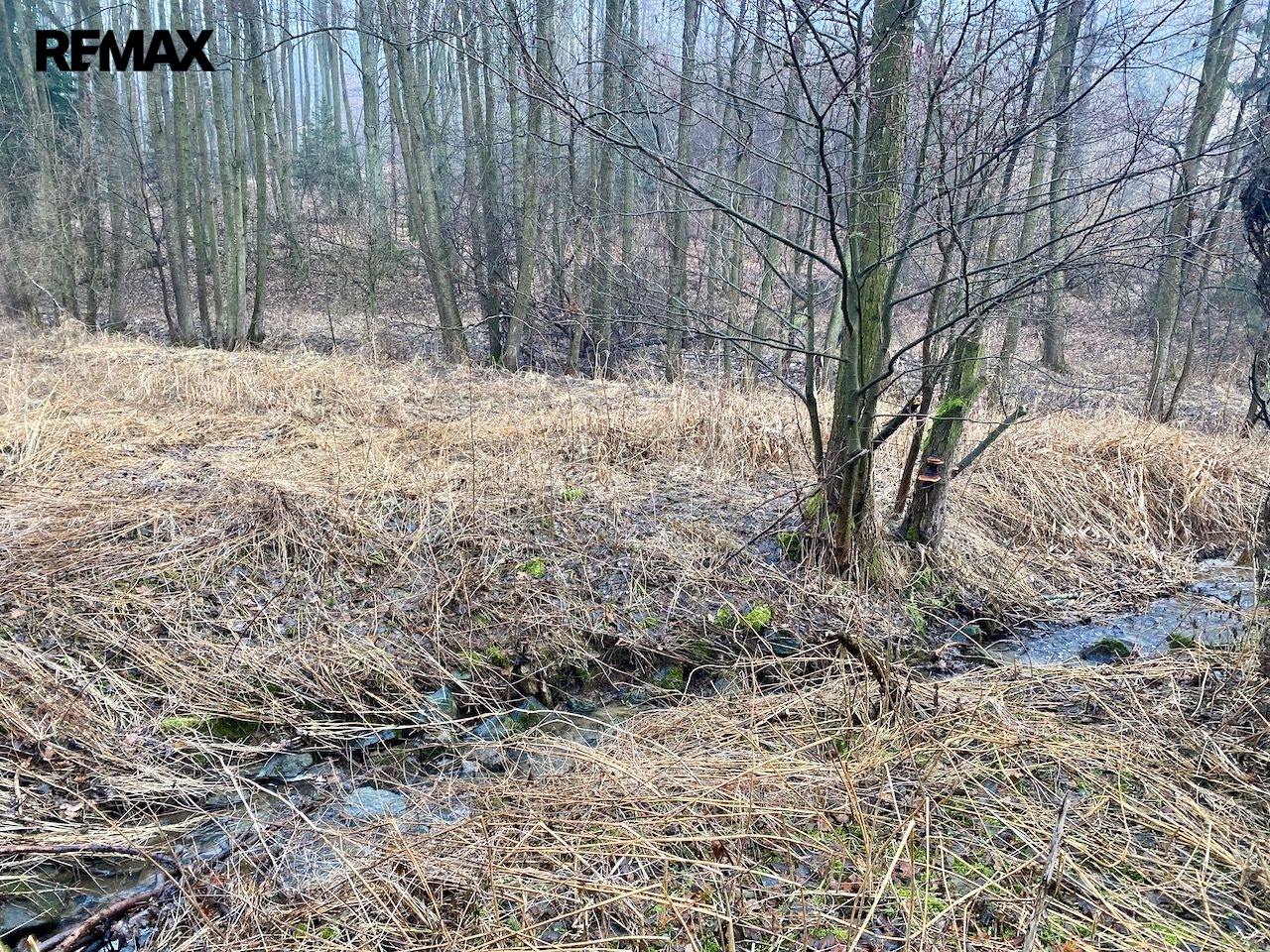 Velký pozemek s projektem na rybník