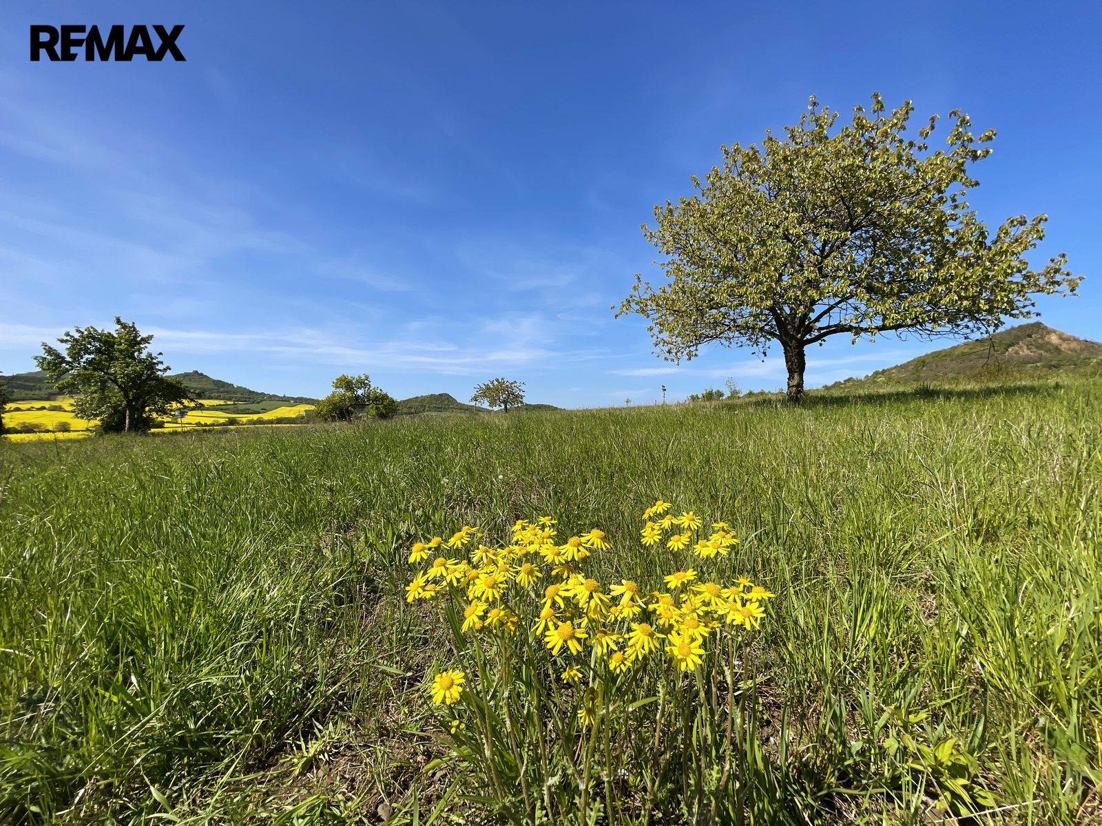 Podsedice_03 (Braňo Pažitka)