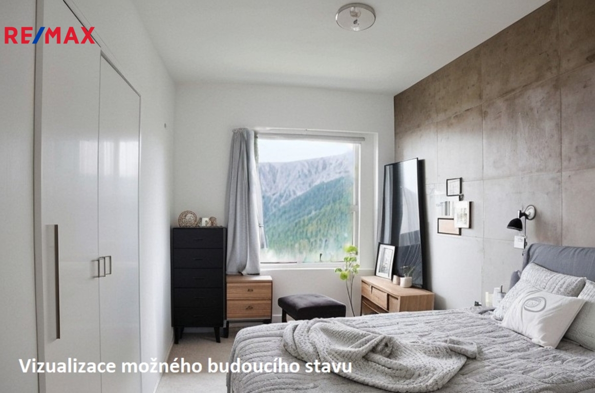 Vizualizace