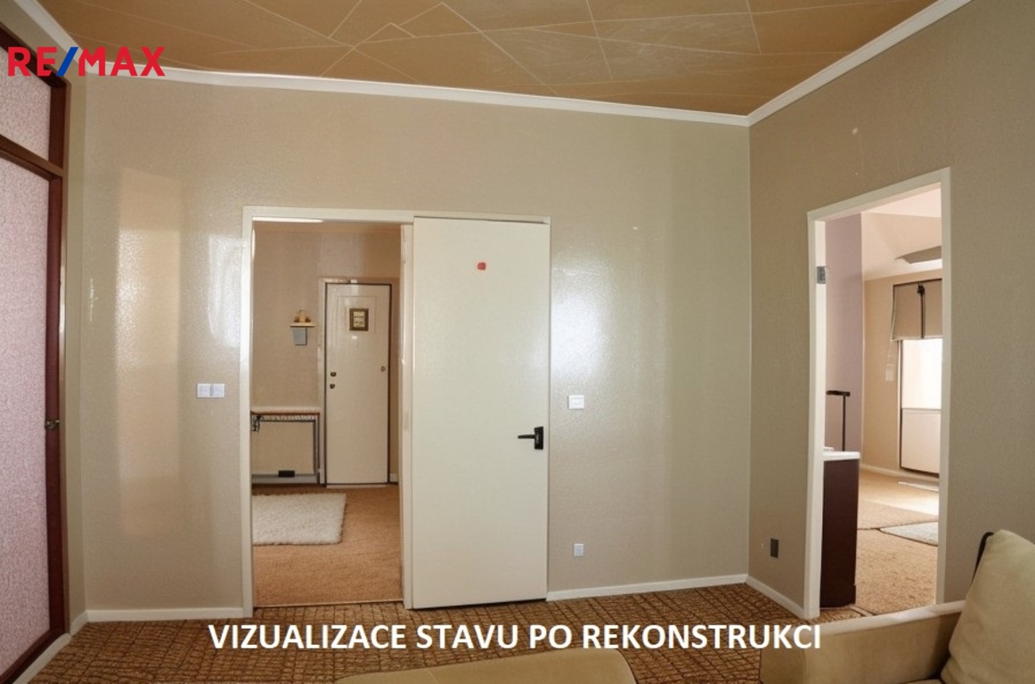 Vizualizace
