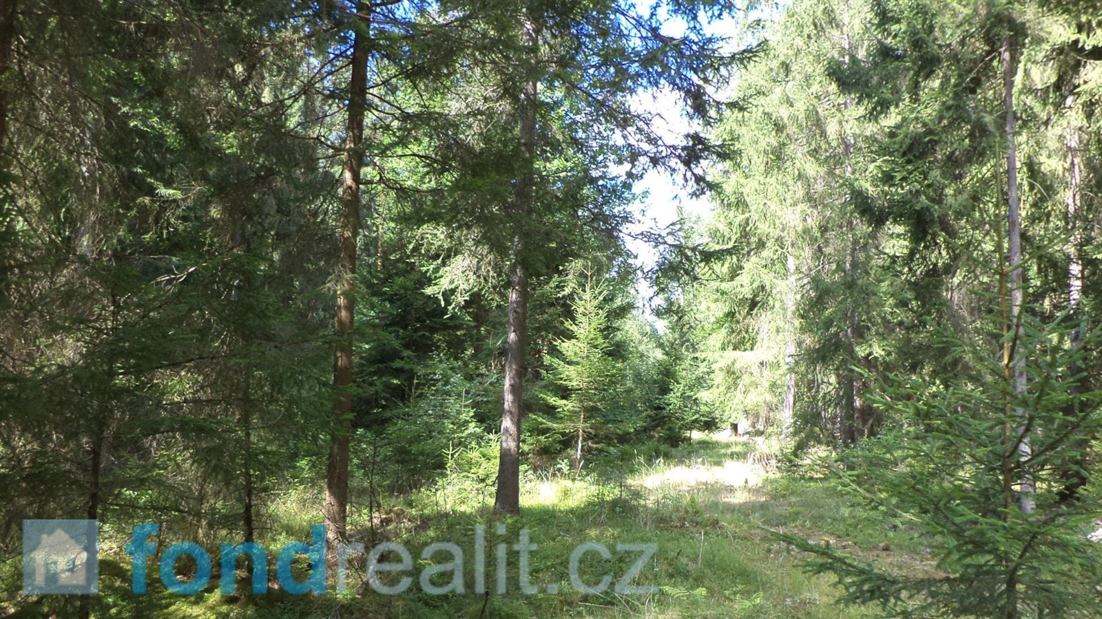 Prodej lesa, 74 416 m² Černýšovice (okres Tábor), obrázek 14