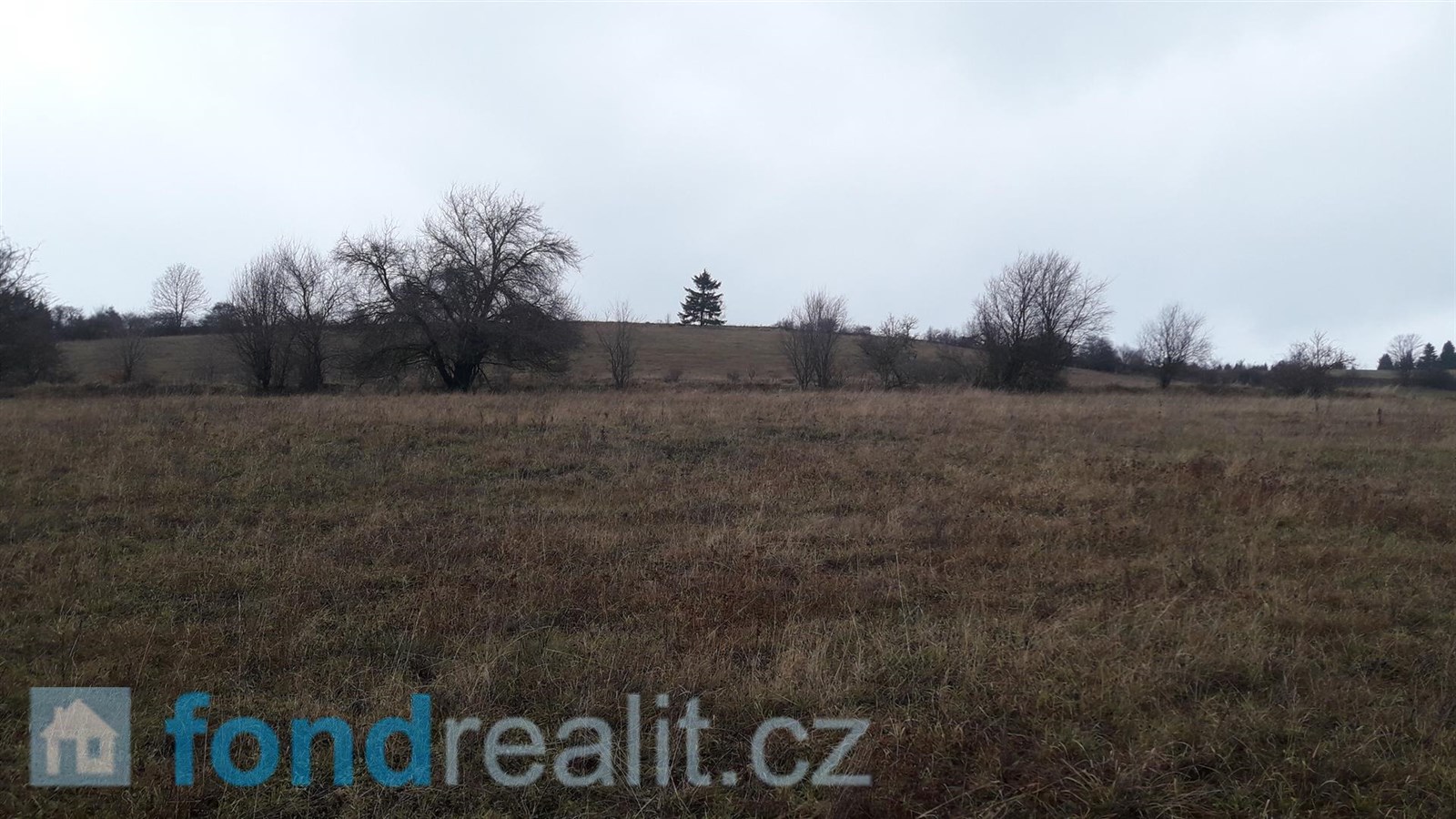 Prodej zemědělské půdy, 29 954 m² Teplice nad Metují (okres Náchod), obrázek 1