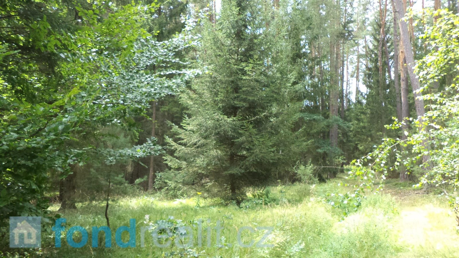 Prodej lesa, 74 416 m² Černýšovice (okres Tábor), obrázek 23