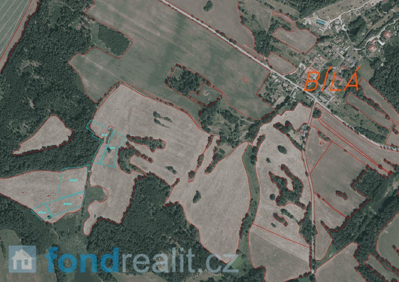Prodej ostatních pozemků, 31 127 m² Číměř (okres Jindřichův Hradec), Bílá, obrázek 7