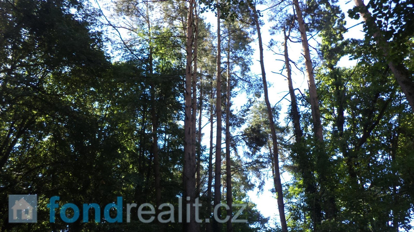 Prodej lesa, 74 416 m² Černýšovice (okres Tábor), obrázek 17