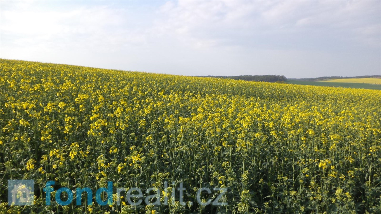Prodej zemědělské půdy, 35 843 m² Brumovice (okres Opava), obrázek 8