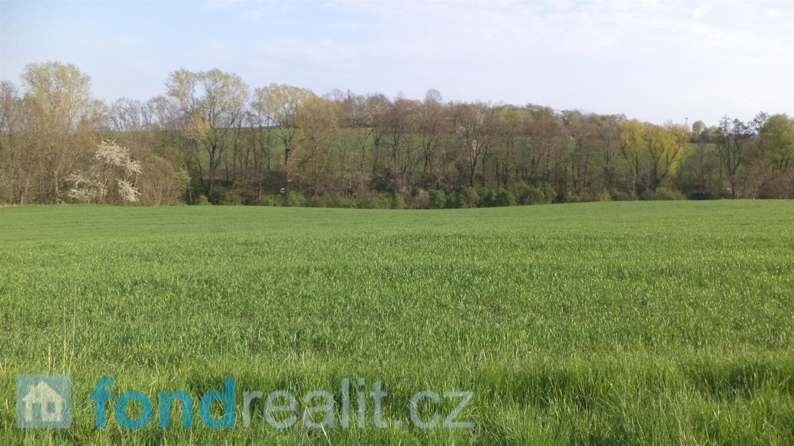 Prodej zemědělské půdy, 35 843 m² Brumovice (okres Opava), obrázek 10