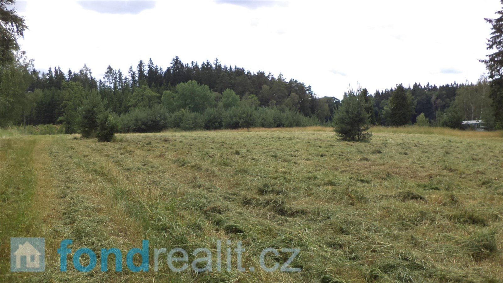 Prodej zemědělské půdy, 3 040 m² Chotěmice (okres Tábor), obrázek 5