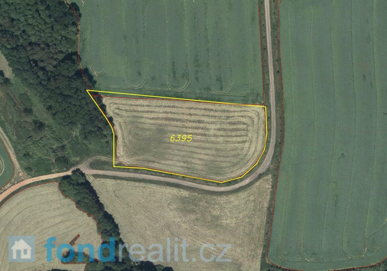 Prodej zemědělské půdy, 8 162 m² Ostrov (okres Ústí nad Orlicí), obrázek 1